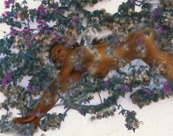 Girls in the Trees - Limited Edition Photographic Art by Christopher Strong